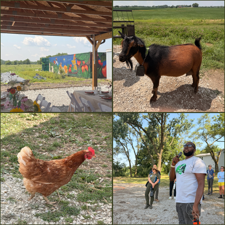 collage of images - pergola at Just Roots, goat, chicken, speaker at Z-Farm