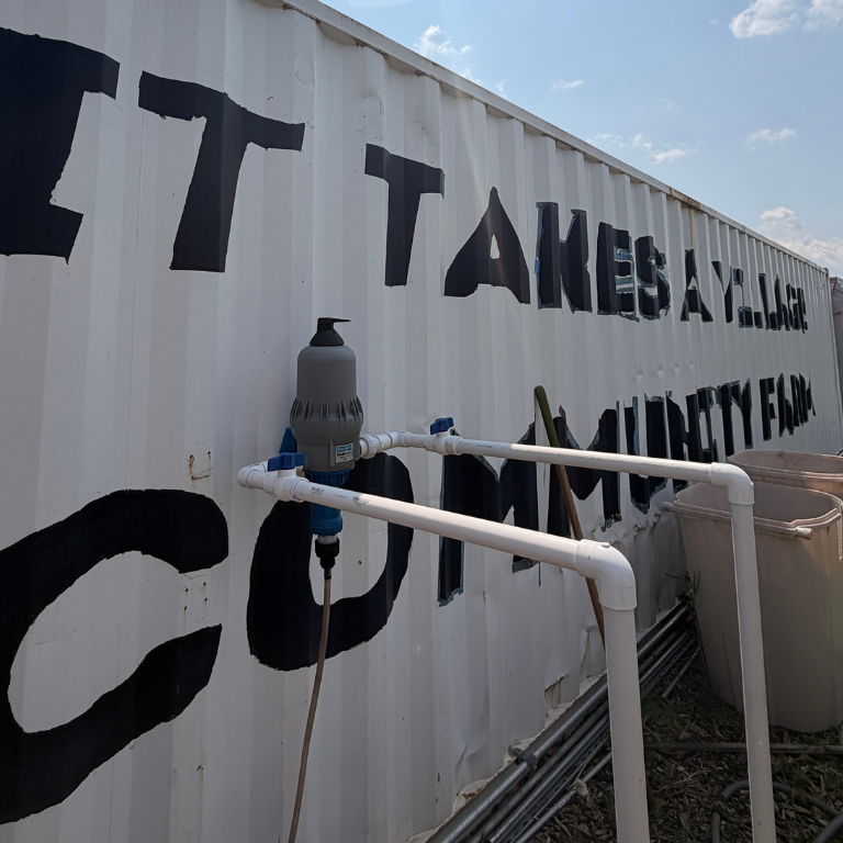 "It takes a vollage community farm" mural